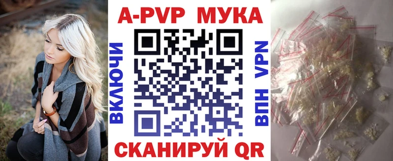 omg как зайти  Старая Русса  дарк нет формула  А ПВП крисы CK 