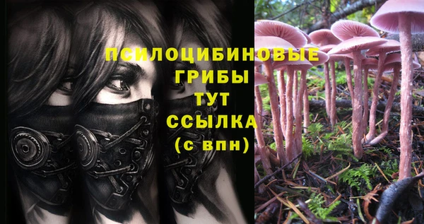 крисы Абдулино