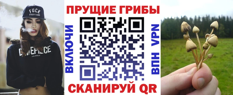 KRAKEN ТОР  Старая Русса  Псилоцибиновые грибы мухоморы  как найти  