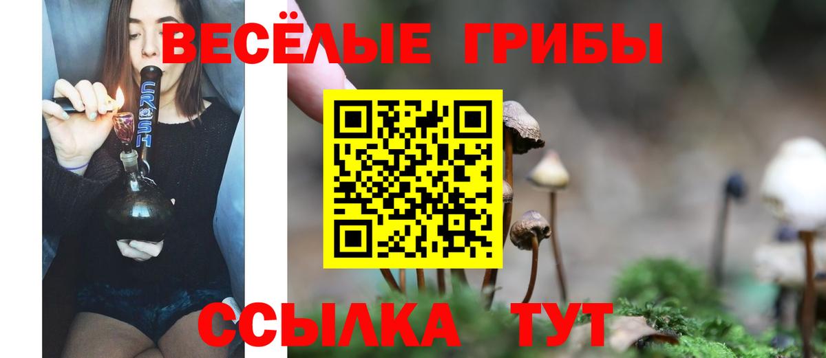 Старая Русса  Псилоцибиновые грибы мицелий  где купить наркоту  Вход с VPN 